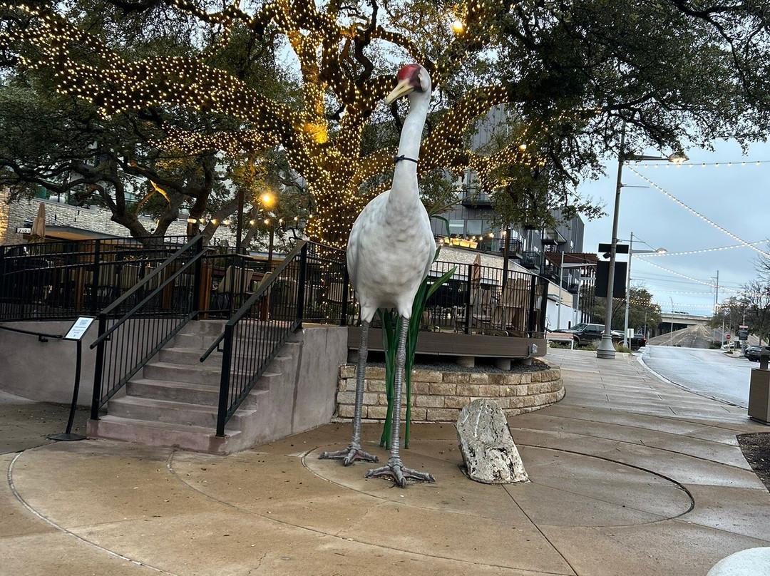 The Domain-奥斯丁必去景点