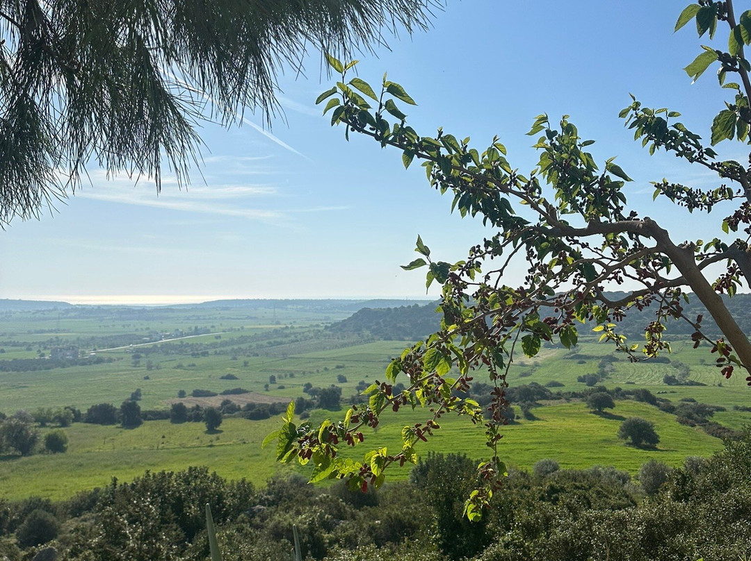 Celebi Garden Hotel主图