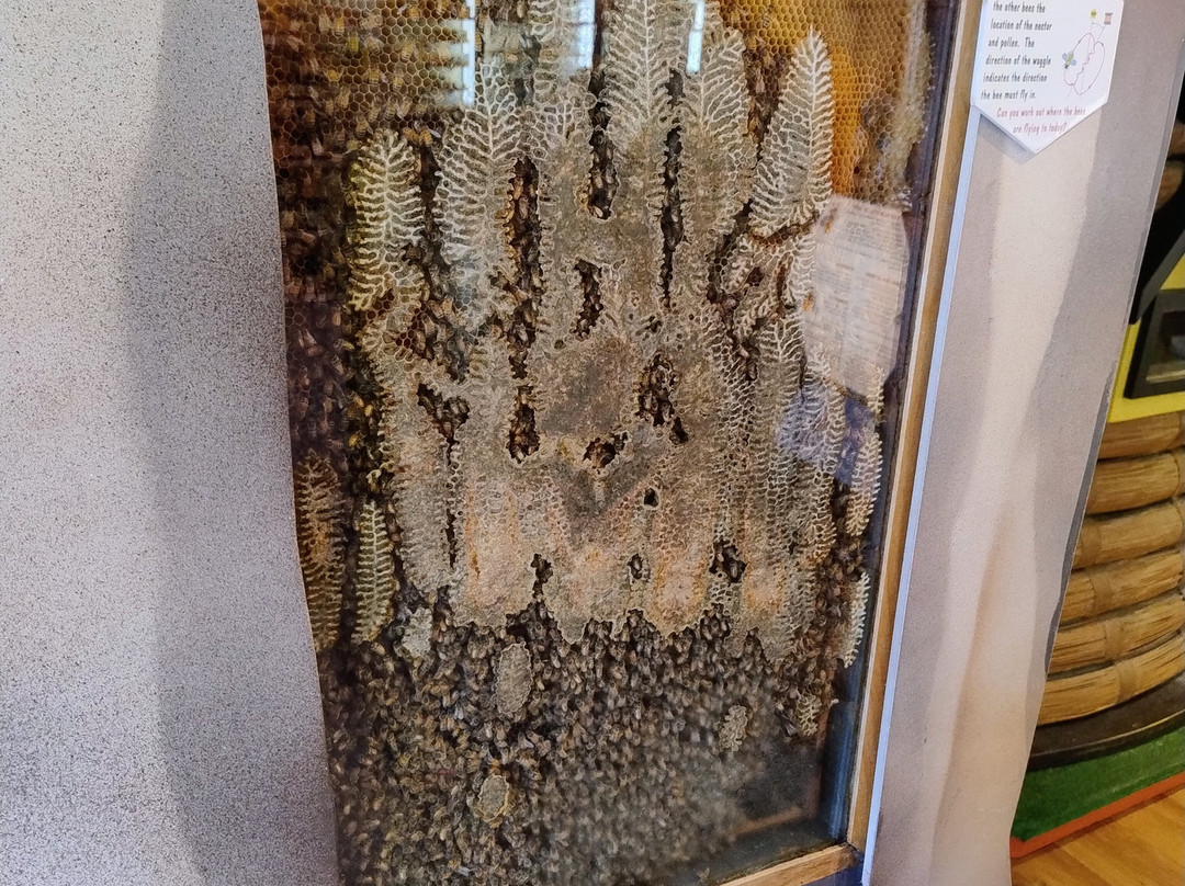 Melita Honey Farm-Chudleigh必去景点