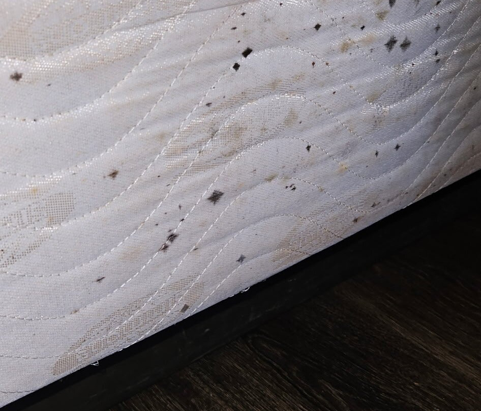 Howard Johnson by Wyndham Tifton主图