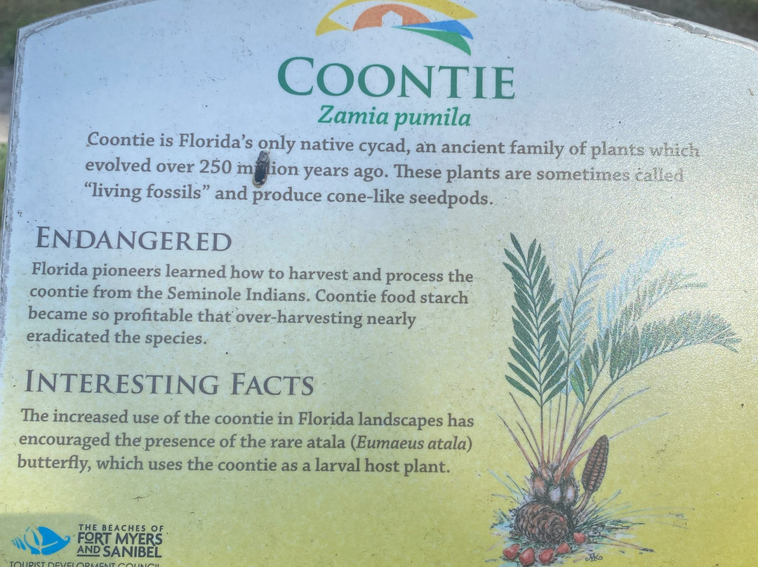 Mound House-迈尔斯堡海滩必去景点