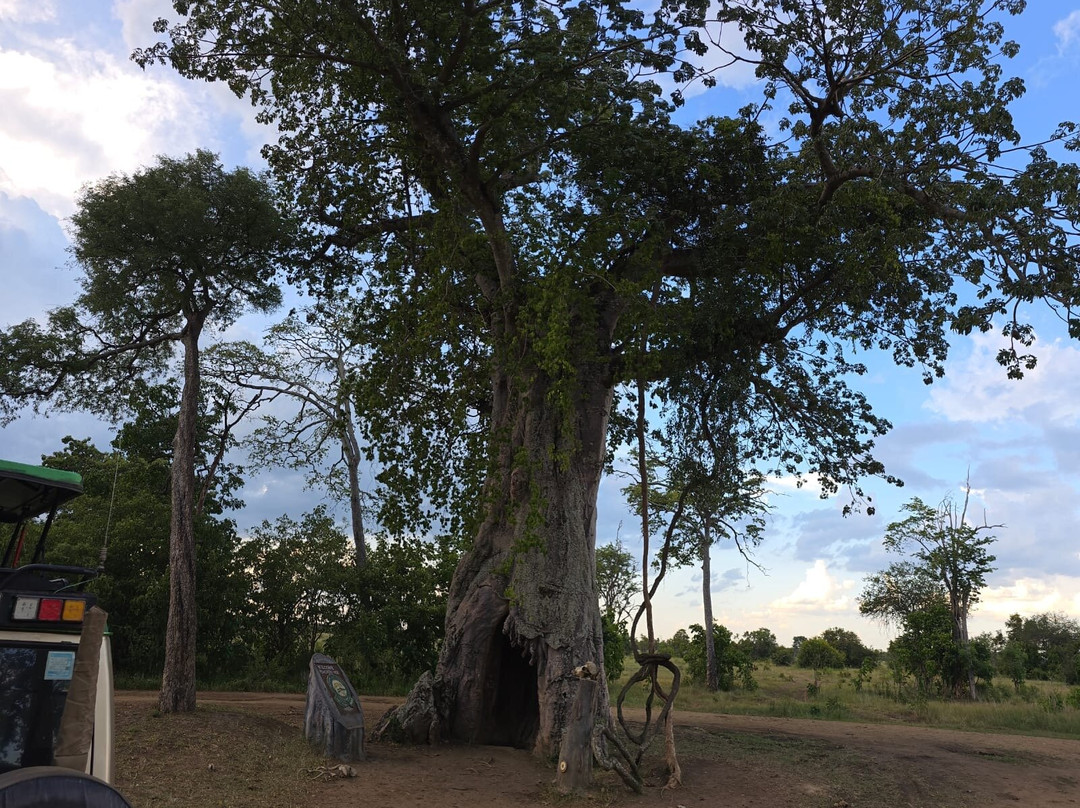 Passionate Safaris-Dar es Salaam必去景点