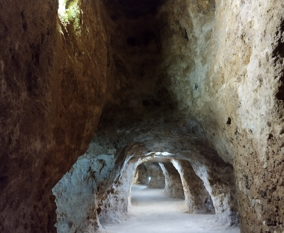 Grutas de Lapas-新托里什必去景点