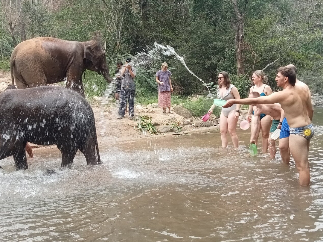 Hug Elephant Sanctuary-清迈必去景点