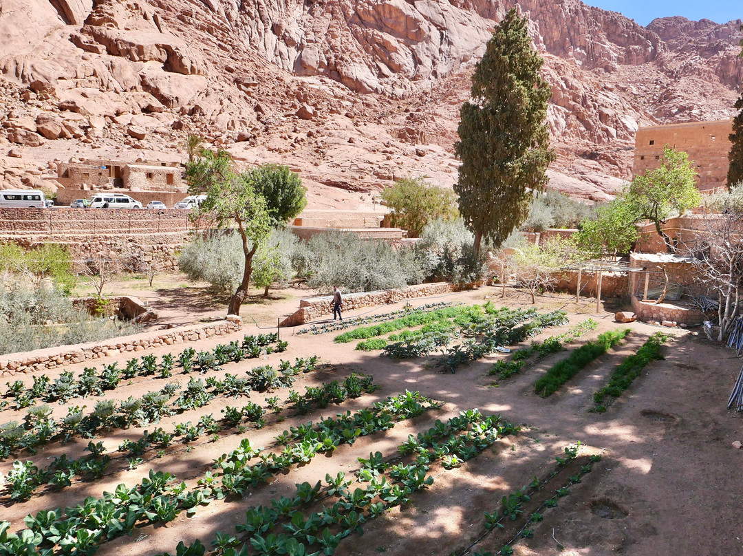 St Catherine's Monastery Guesthouse主图