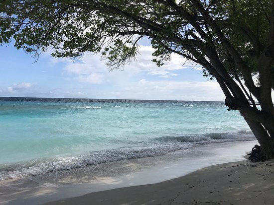 皇家岛度假村主图