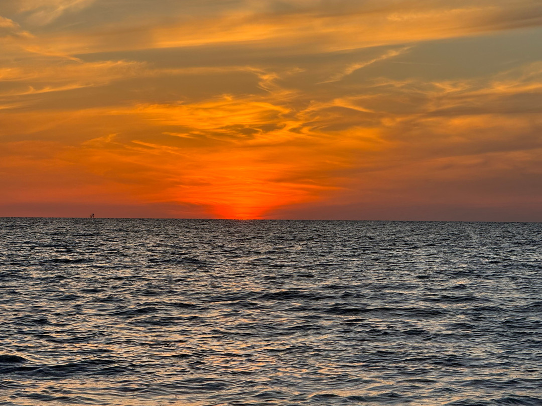 Marina Rose Cruises-Hernando Beach必去景点