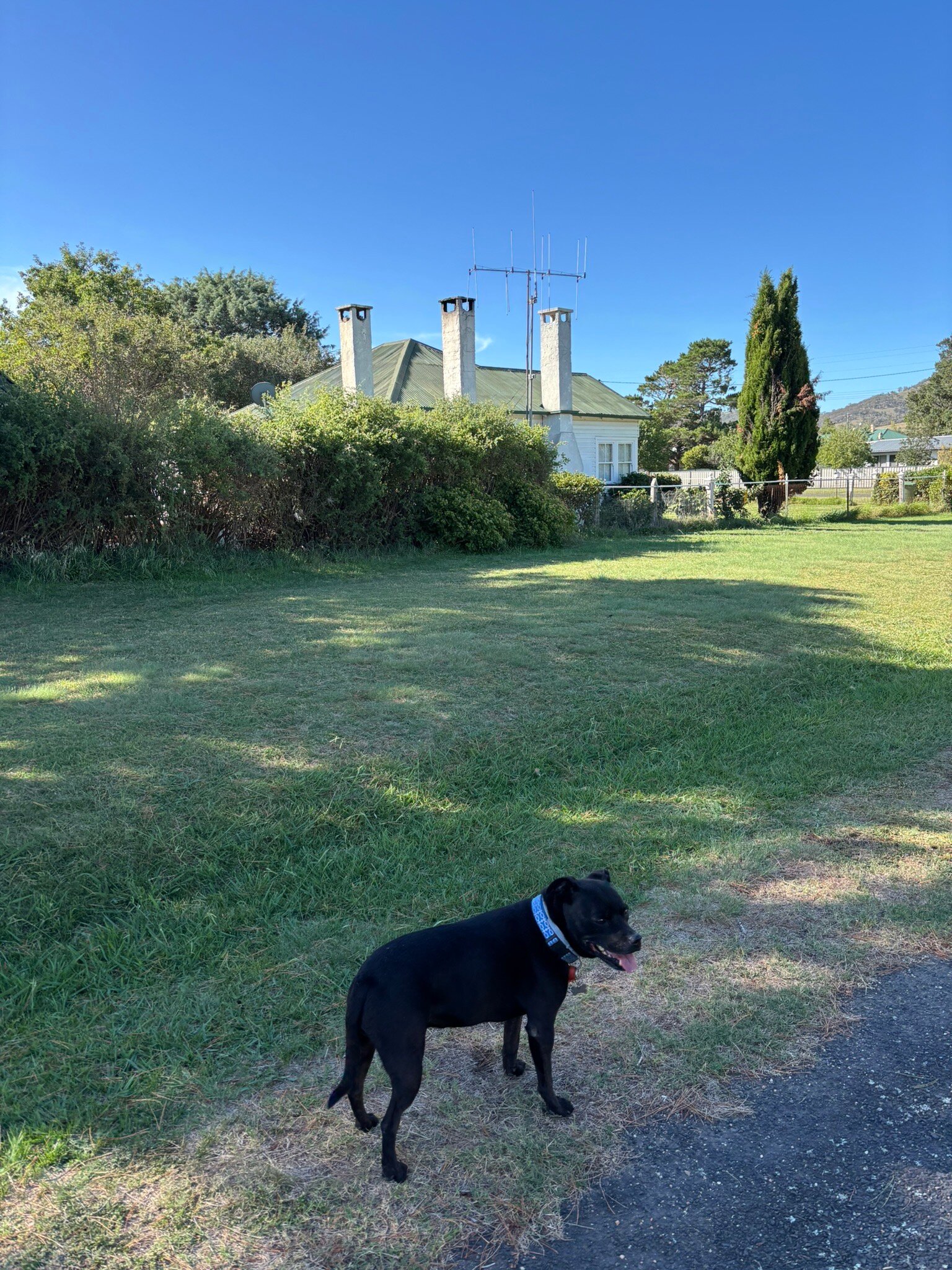 Bredbo Inn Hotel-官方