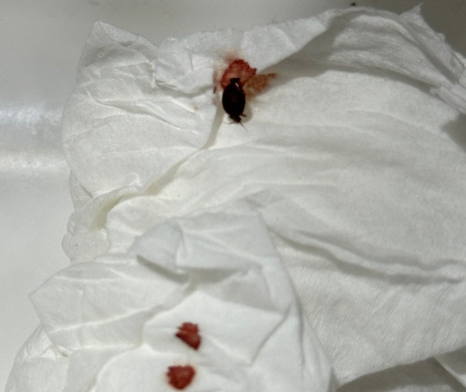 大象海湾酒店主图