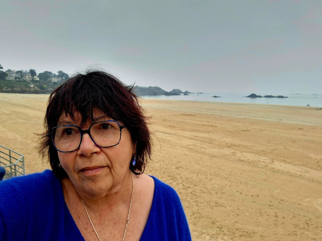 Grande Plage De St Lunaire