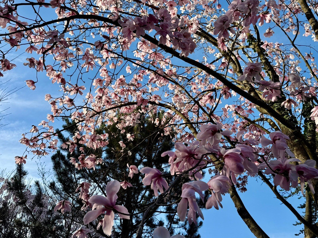 Parco Botanico del Gambaragno-San Nazzaro必去景点