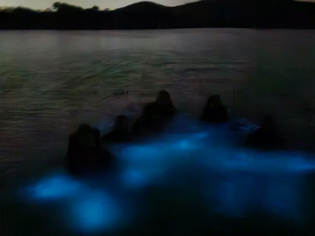 Parguera Water Sports景点图片