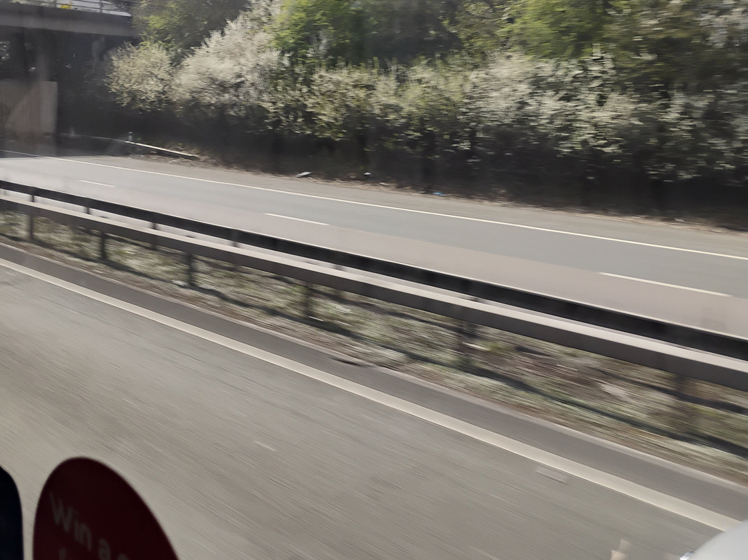 National Express - UK Coach景点图片