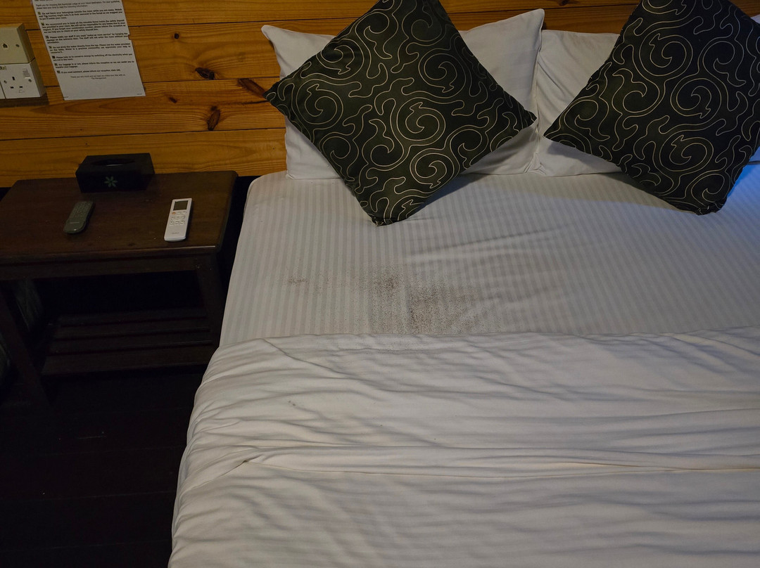 比利特雨林旅舍主图