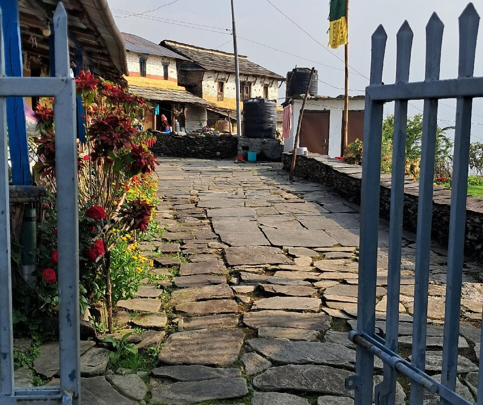 Anu Guest House主图