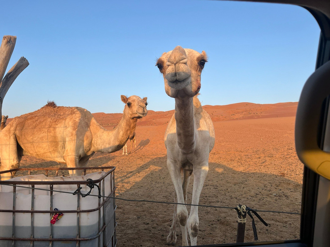 WABAR TOURS-马斯喀特必去景点