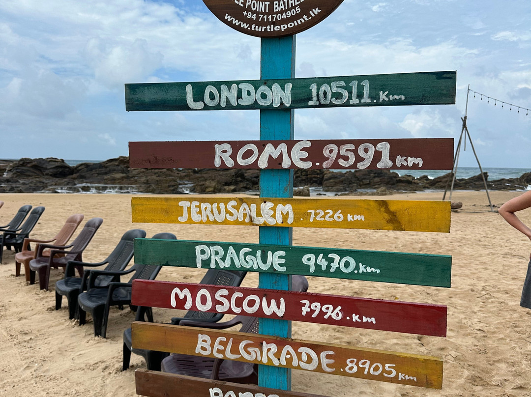 Turtle Point-美蕊沙必去景点