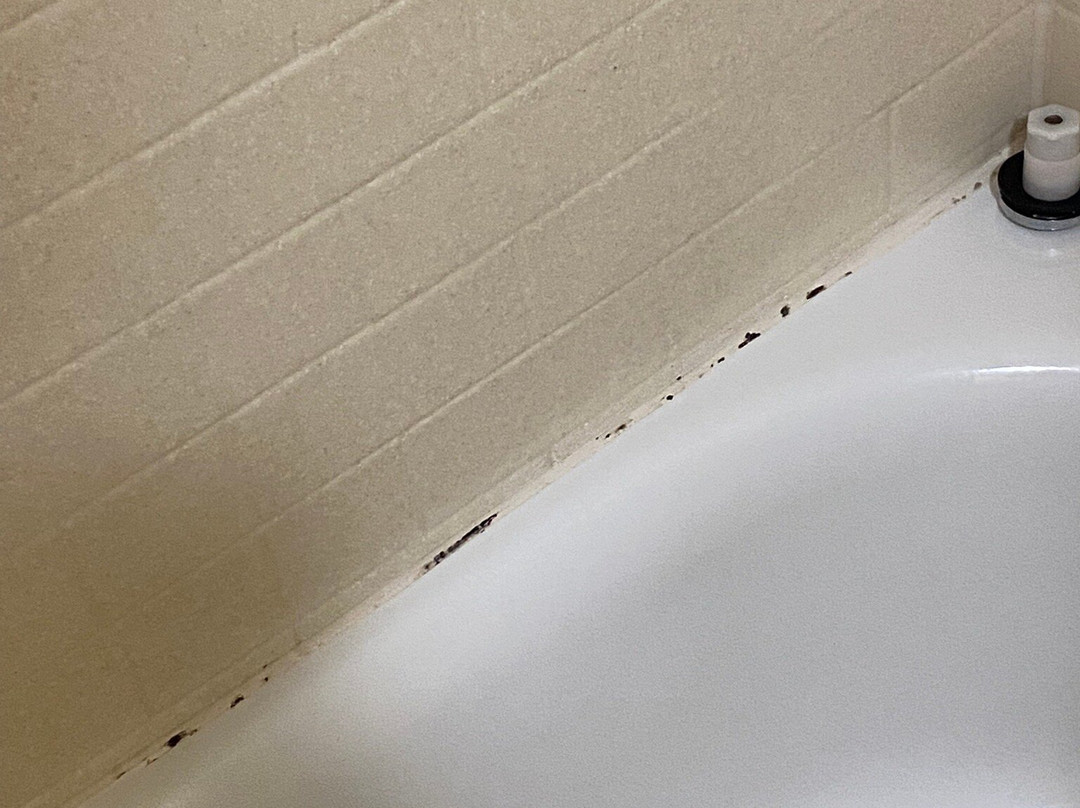 Candlewood Suites Portland - Scarborough by IHG主图