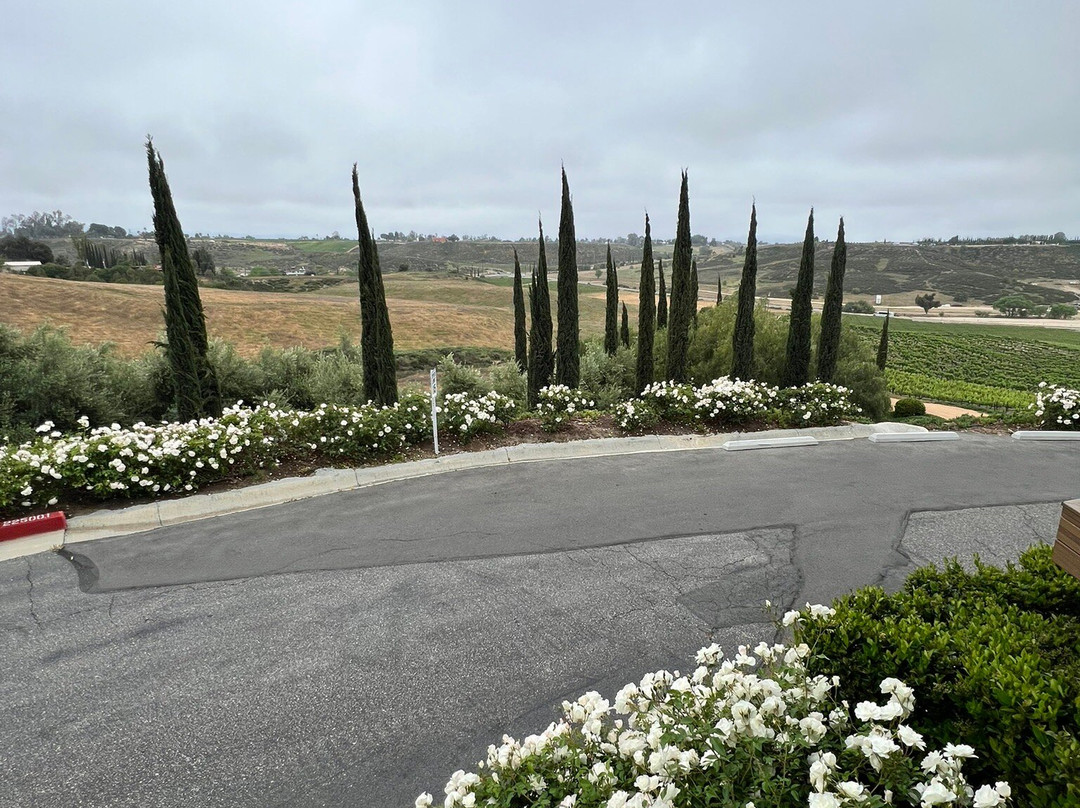 Falkner Winery-特曼库拉必去景点