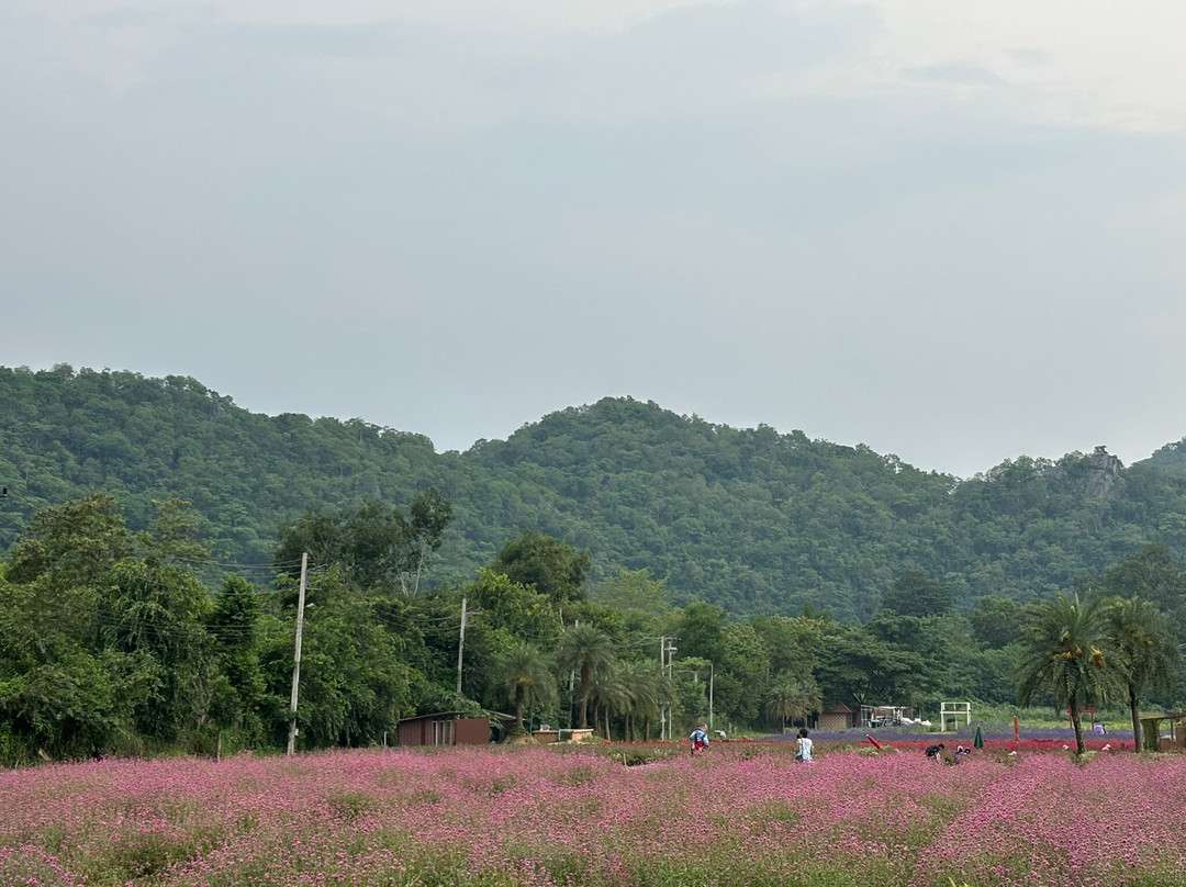 Hokkaido Flower Park-呵叻必去景点