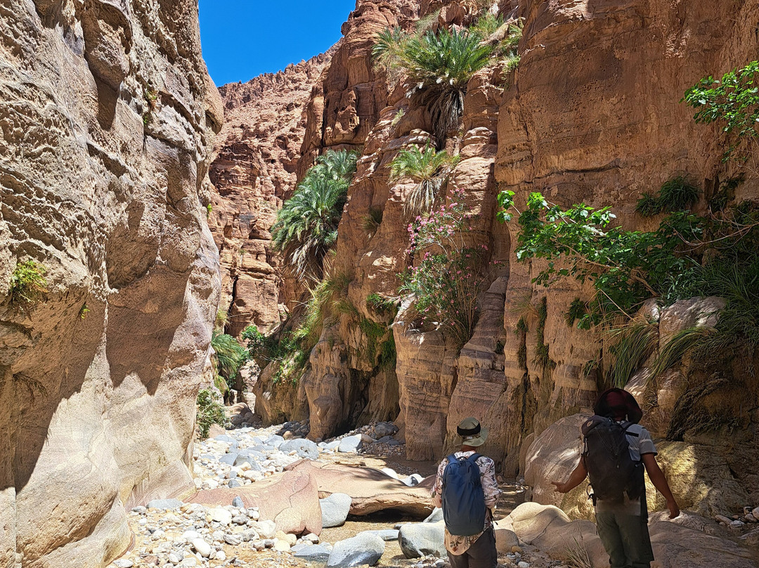 Bedouin Journeys Adventure-Dana必去景点