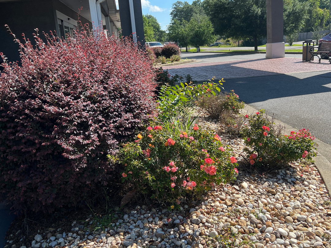 Country Inn & Suites by Radisson, Saraland, AL主图