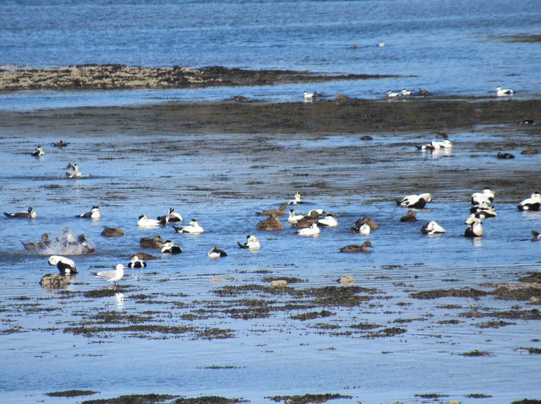 Loch Fleet-Dornoch必去景点