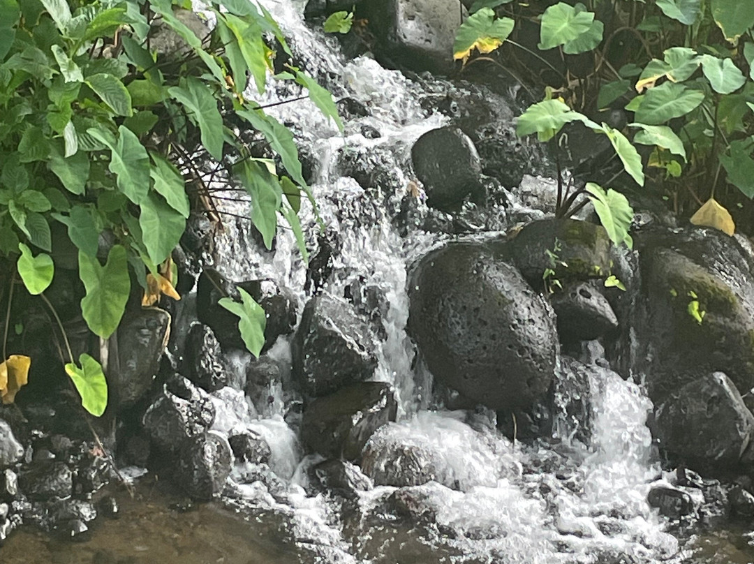 Anse Des Cascades景点图片