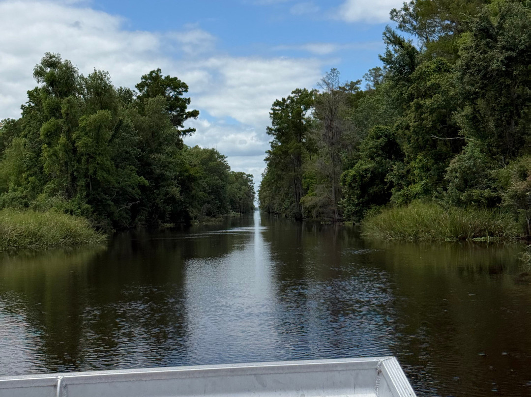 Ragin Cajun Airboat Tours景点图片