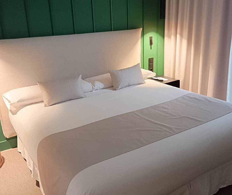 蒙德拉贡酒店主图