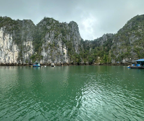 Blue Swimmer Cruises-Cat Ba Town必去景点