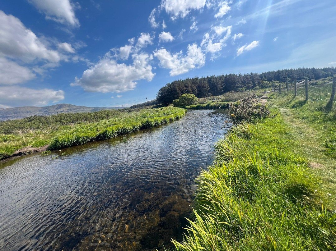 Wonderful Ireland Walking Tours-邓德拉姆必去景点