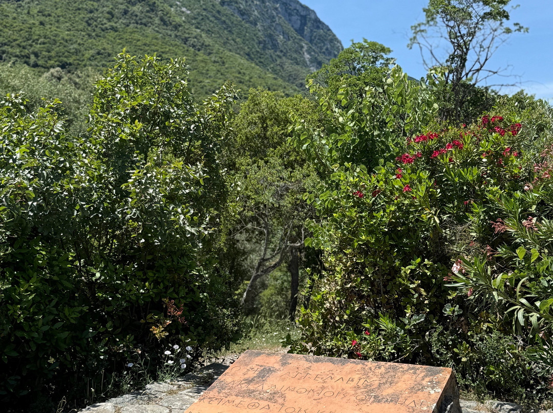 Theodores Travel-Nea Ionia必去景点