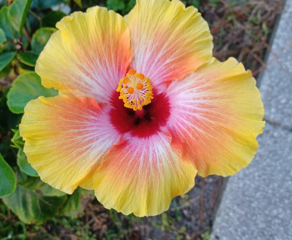 Rotonda Golf & Country Club-Rotonda West必去景点