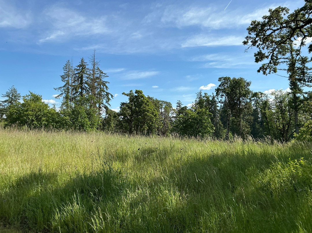 Dorris Ranch-斯普林菲尔德必去景点