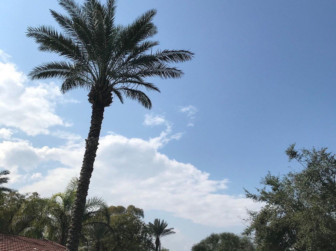 Kinar Galilee Hotel主图