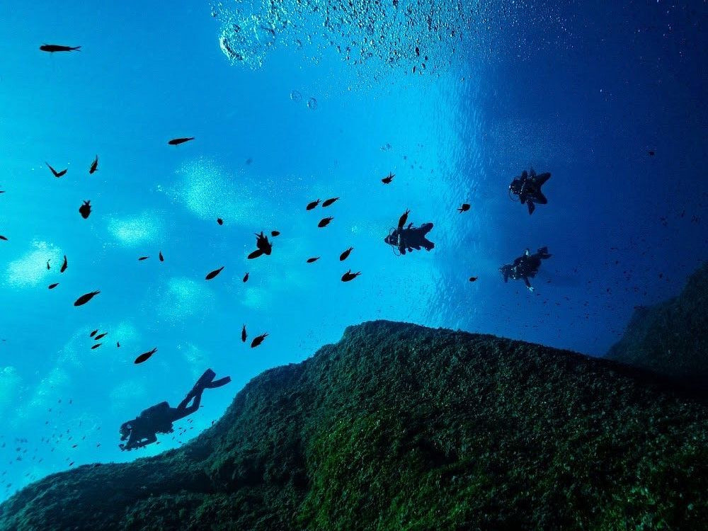 Ritual Dive-Xlendi必去景点