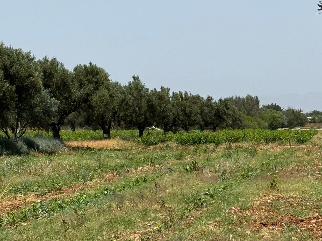 Le Val d'Argan-Ounagha必去景点