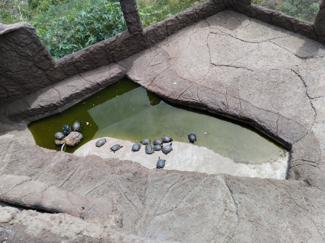 Maroparque Isla de La Palma景点图片