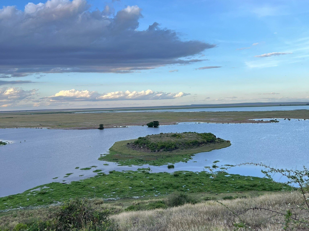 Expeditions Maasai Safaris-内罗毕必去景点