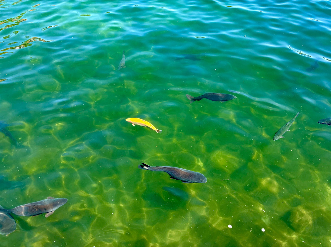 The Sky View Inn主图