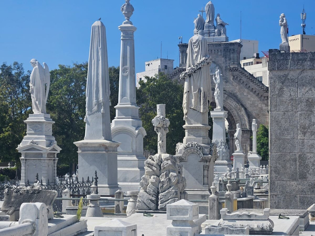 Christopher Columbus Cemetery (Cemetario de Colon)景点图片