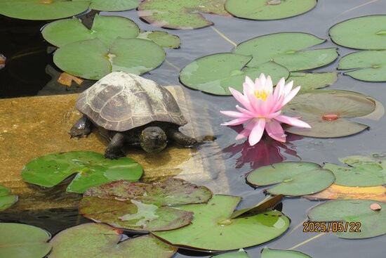 Biwako Otsukan-大津市必去景点