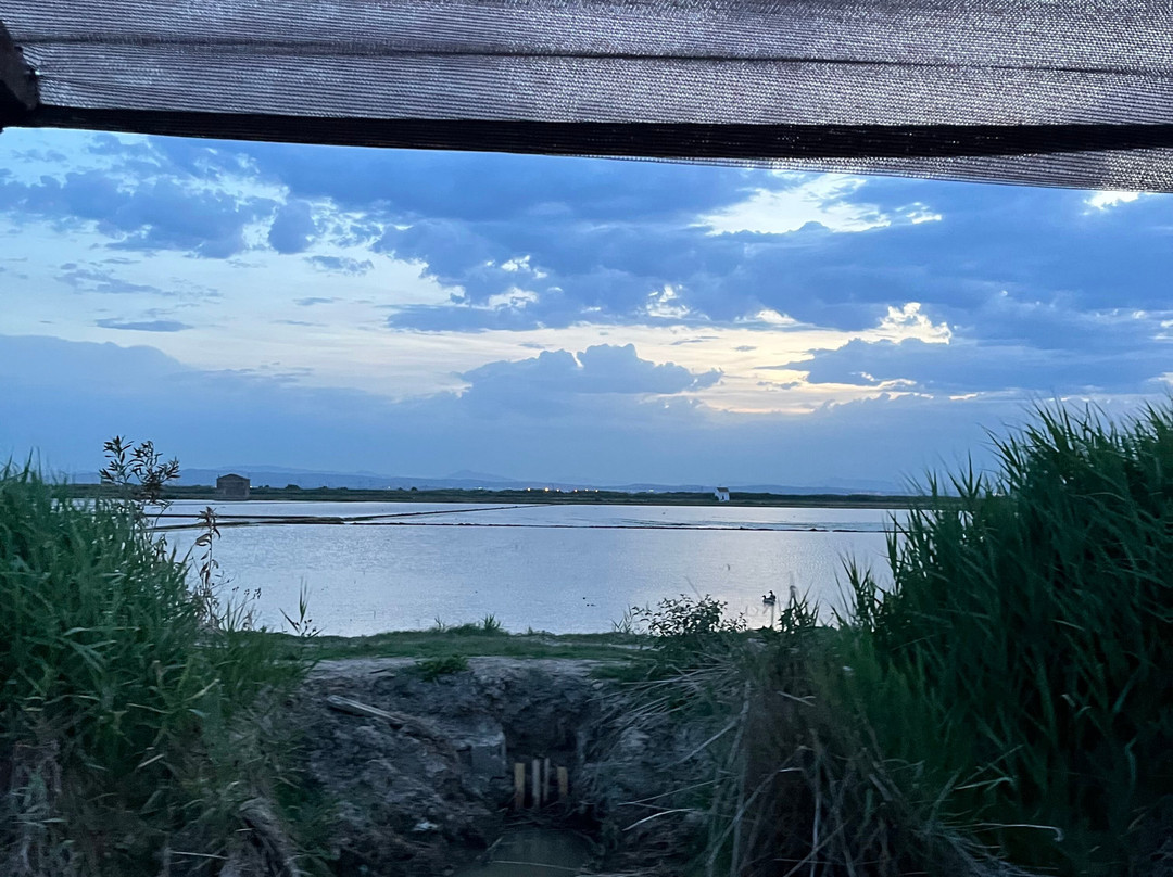 Visit Albufera-巴伦西亚必去景点
