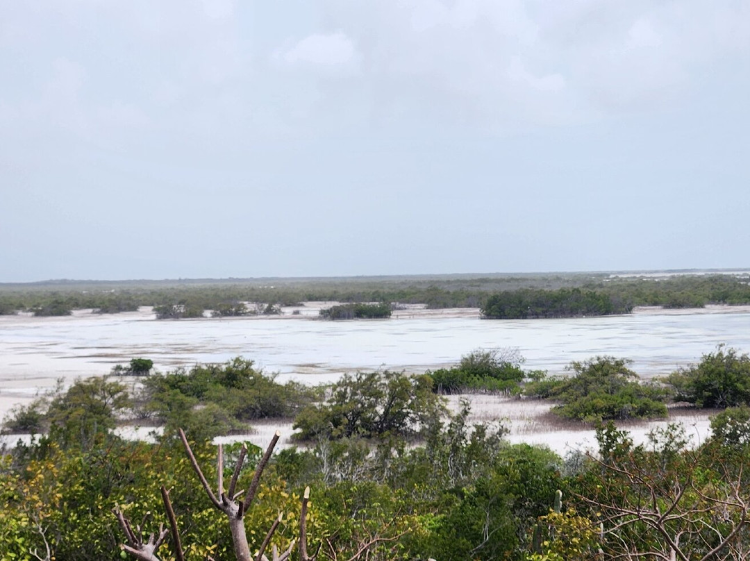 Flamingo Pond Overlook-North Caicos必去景点