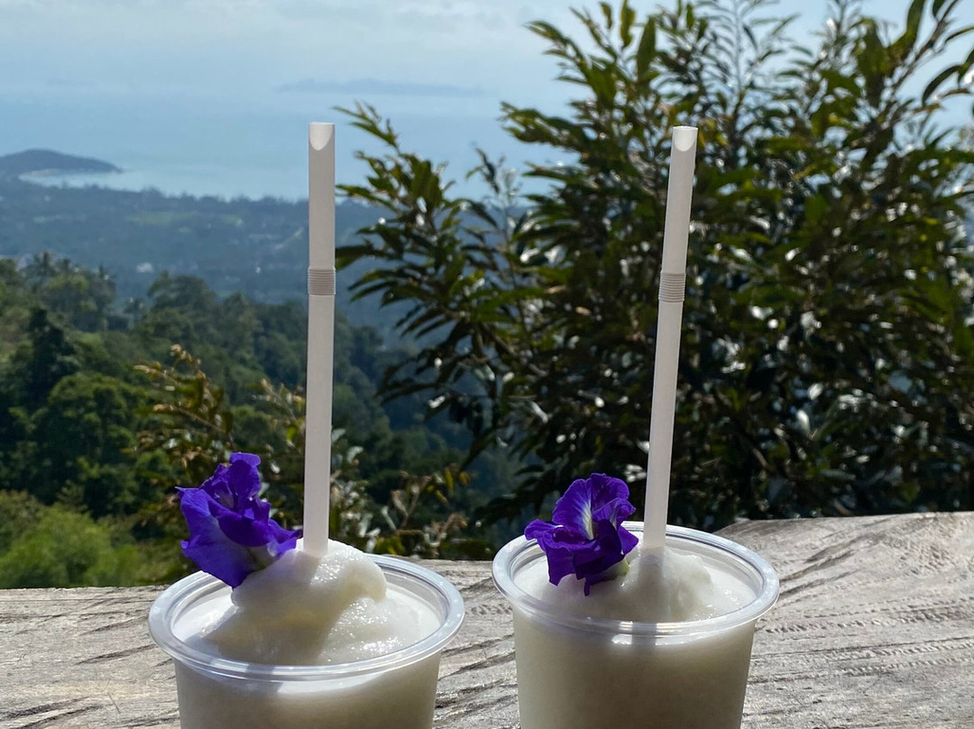 Samui Zipline & Adventures-利巴诺伊必去景点