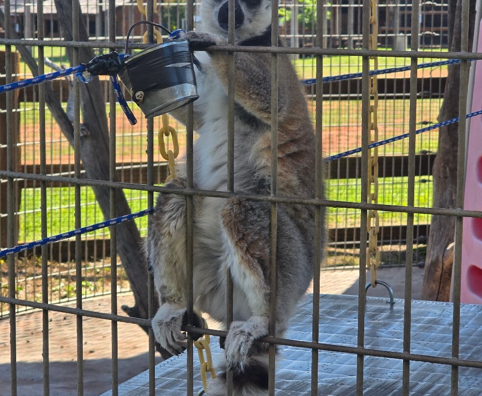 Tiger Safari Zoological Park-Tuttle必去景点