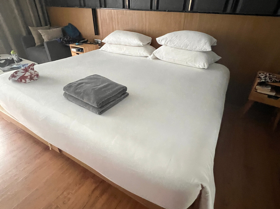 Wyndham Grand Nai Harn Beach Phuket主图