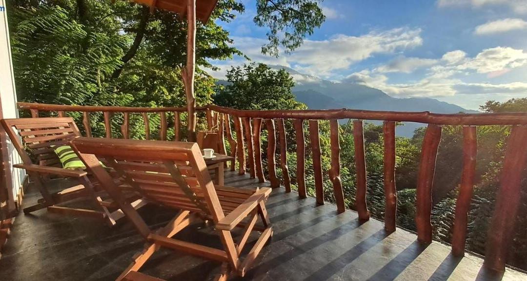 Moon Light- Sunrise Ella