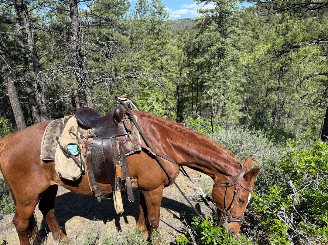 Over the Hill Outfitters-杜兰戈必去景点